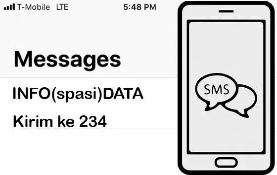 Cara Cek Nomor 3 Lewat SMS