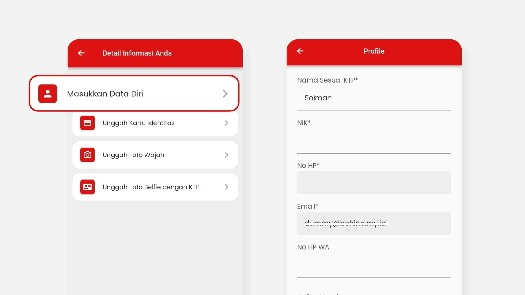 Masukkan data diri